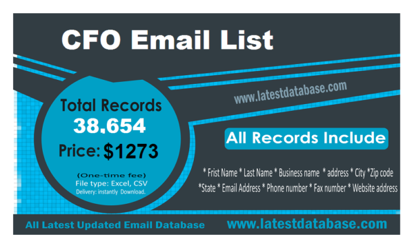 CFO Email Marketing Data