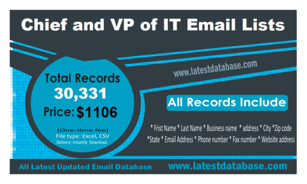 Chief and VP of IT Email Marketing Datas