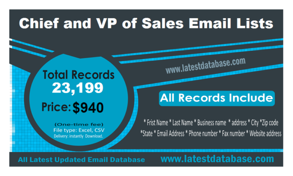 Chief and VP of Sales Email Marketing Datas