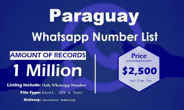 Paraguay WhatsApp Marketing Data 500K